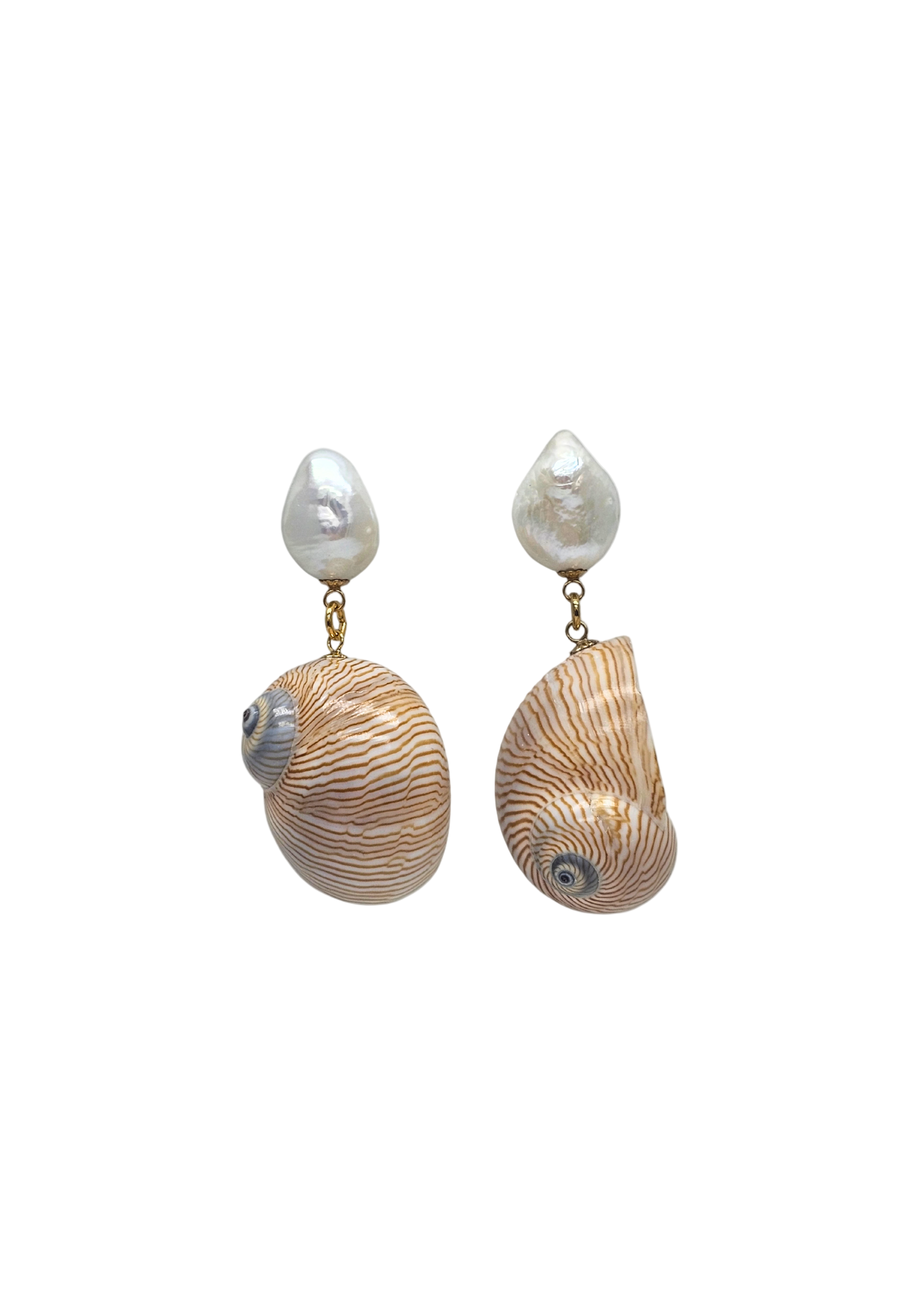 Boucles d'oreilles coquillage Line-0