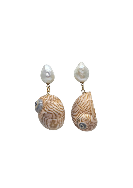 Boucles d'oreilles coquillage Line-0